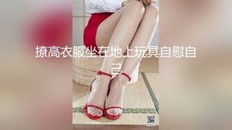 大肚子的小骚骚孕妇少妇