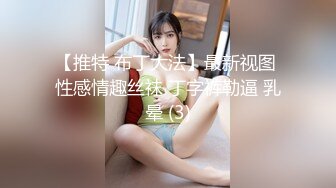 【推特 布丁大法】最新视图 性感情趣丝袜 丁字裤勒逼 乳晕 (3)