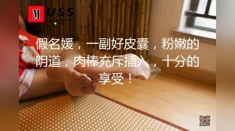 麻豆传媒 MSD-052 美女失恋酒吧买醉 被酒保捡回家激情啪啪啪