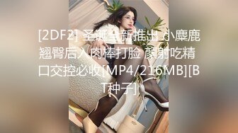 [MP4/ 866M] 不知天地为何物，极品美少妇，车内与男友边走边调情，后排车震，黑丝美腿满分大胸