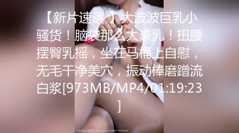 【新片速遞 】大波波巨乳小骚货！脑袋那么大豪乳！扭腰摆臀乳摇，坐在马桶上自慰，无毛干净美穴，振动棒磨蹭流白浆[973MB/MP4/01:19:23]