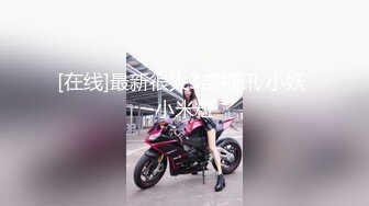 極品女模特唯美誘惑 (高清寫真視頻)