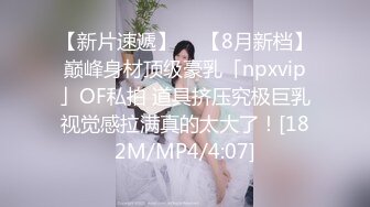 TWTP 大神潜入商场女厕全景偷拍多位美女嘘嘘第二季 (10)