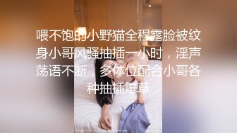 比较有气质的人妻少妇伺候纹身小哥激情啪啪，温柔的舔弄大鸡巴，让小哥用跳蛋玩逼吃奶