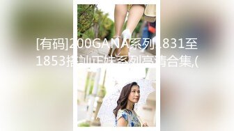 酒店约炮仁川故乡24岁气质女导游李佳贤4K高清无水印版