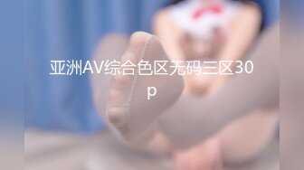 亚洲AV综合色区无码三区30p