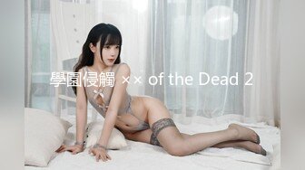 學園侵觸 ×× of the Dead 2