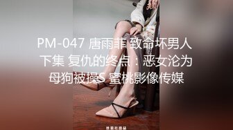 PM-047 唐雨菲 致命坏男人 下集 复仇的终点：恶女沦为母狗被操S 蜜桃影像传媒