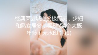 经典某县城办公楼蹲厕，少妇和熟女居多，看B能猜个大概年龄（无水印） (1)