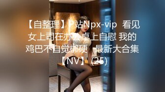 【自整理】P站Npx-vip  看见女上司在办公桌上自慰 我的鸡巴不自觉梆硬   最新大合集【NV】 (25)