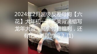 调教丰满母狗2