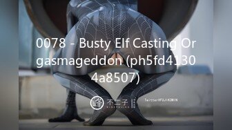 0078 - Busty Elf Casting Orgasmageddon (ph5fd41304a8507)