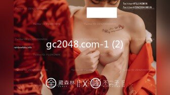 gc2048.com-1 (2)