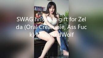 SWAG hristmas gift for Zelda (Oral Creampie, Ass Fuck) MollyRedWolf