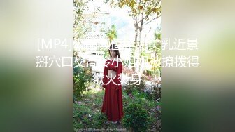 【新速片遞】&nbsp;&nbsp;吊钟奶美少妇 上来就投喂猛亲强行让舔逼 扒下内裤主动上位骑乘 大奶子哗哗 完事还不过瘾 哥们不知是性福还是痛苦 [648MB/MP4/27:20]