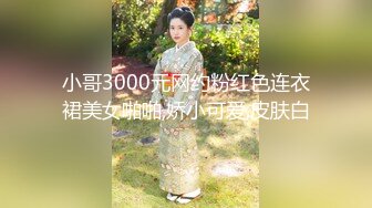 后入女友 自动打桩机（看简戒