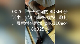 0026 - 在长时间的 BDSM 会话中，猫和屁股被摧毁，鞭打。最后射在臀部 (ph6310ec48d325b)