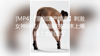 舔骚母狗老婆骚逼