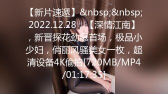 【新片速遞】&nbsp;&nbsp;2022.12.28，【深情江南】，新晋探花劲爆首场，极品小少妇，俏丽风骚美女一枚，超清设备4K偷拍[720MB/MP4/01:17:35]