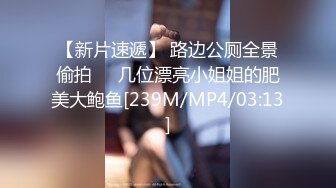 【新片速遞】 路边公厕全景偷拍❤️几位漂亮小姐姐的肥美大鲍鱼[239M/MP4/03:13]