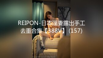 REIPON-日本淫妻露出手工去重合集【388V】 (157)