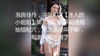 后入黑丝女仆女友