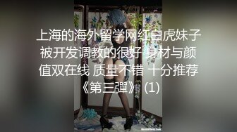 伟哥发作 少妇发泄part1