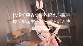 [MP4]黑衣少妇衣服也不脱开操，撩起裙子骑坐插入后入快速抽插猛操