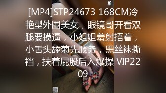 [MP4]STP24673 168CM冷艳型外围美女，眼镜哥开看双腿要摸逼，小姐姐羞射捂着，小舌头舔菊先服务，黑丝袜撕裆，扶着屁股后入爆操 VIP2209