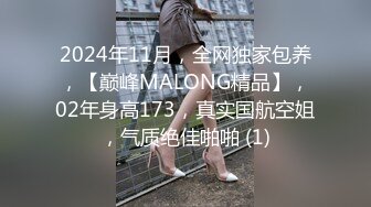 2024年11月，全网独家包养，【巅峰MALONG精品】，02年身高173，真实国航空姐，气质绝佳啪啪 (1)