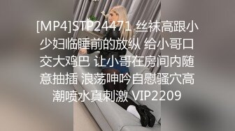 [MP4]STP24471 丝袜高跟小少妇临睡前的放纵 给小哥口交大鸡巴 让小哥在房间内随意抽插 浪荡呻吟自慰骚穴高潮喷水真刺激 VIP2209