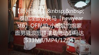 [MP4/ 1.52G]&nbsp;&nbsp;两个兼职美女模特又没钱花了 找摄影师想接点活动 正好一起玩双飞