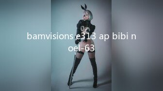 bamvisions e313 ap bibi noel-63