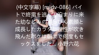 爆操18岁清纯少女  全程淫叫精彩绝伦！看完必射！