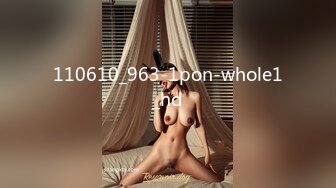 110610_963-1pon-whole1_hd