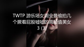 TWTP 游乐场女厕全景偷拍几个撅着屁股嘘嘘的高颜值美女3 (3)